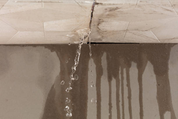 Professional Burst Pipe Cleanup technician working in Randolph, MA